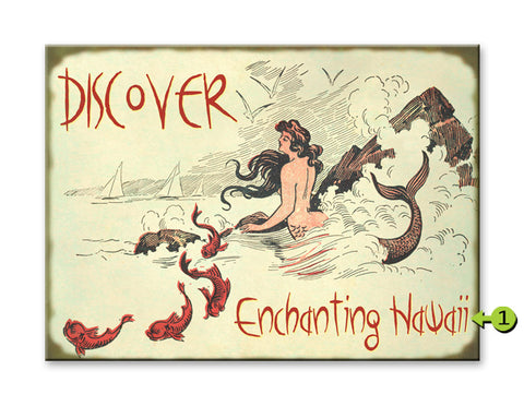 Discover Paradise Metal 23x31