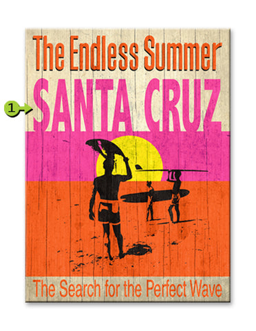 Endless Summer Search for the Perfect Wave Wood 23x31