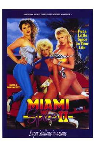 Miami Spice 2 Movie Poster Print