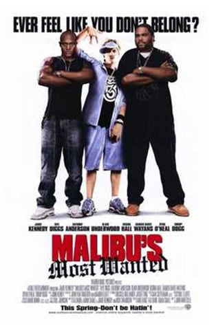 Malibu's Most Wanted Movie Poster Print