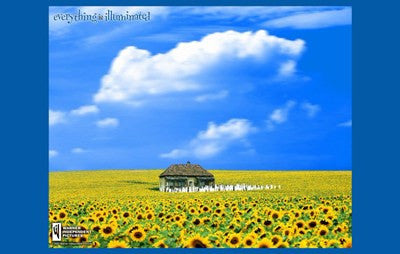 Everything is Illuminated Movie Poster Print