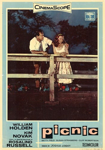 Picnic Movie Poster Print