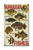 Hawaiian Fishes Wood 23x39