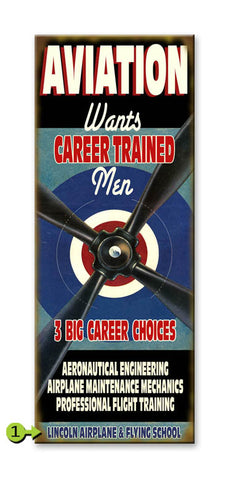 Aviation (Career Choices) Metal 17x44