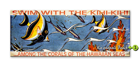Swim with the Kihi Kihi Metal 17x44