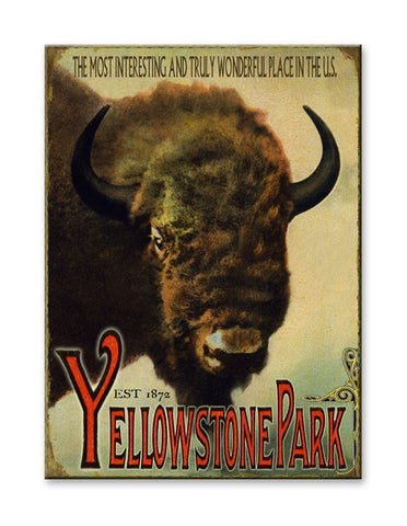 Buffalo Postcard Metal 23x31