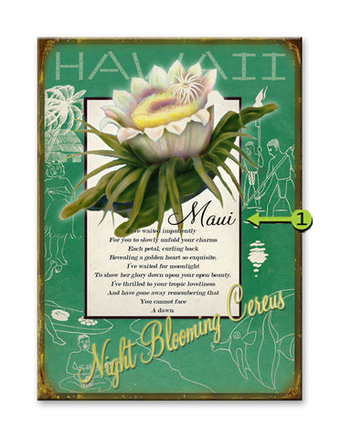 Night Blooming Cereus Metal 28x38