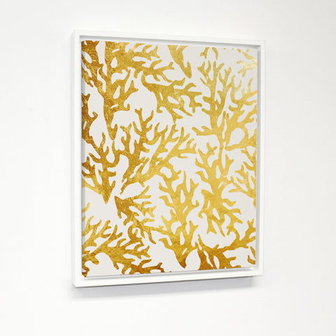 Coral Gold - Gold White Floating Frame by OBC 11 X 14