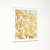 Coral Gold - Gold White Traditional Framed Canvas by OBC 11 X 14
