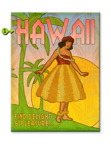 Find Delight & Pleasure Hula Girl Metal 28x38