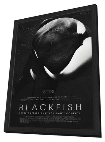 Blackfish 11 x 17 Movie Poster - Style A - in Deluxe Aluminum Frame