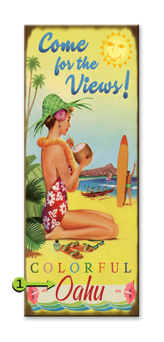 Come For the Views Metal 17x44
