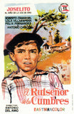 El ruisenor de las cumbres 11 x 17 Movie Poster - Spanish Style A