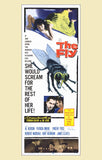 The Fly 11 x 17 Movie Poster - Style B