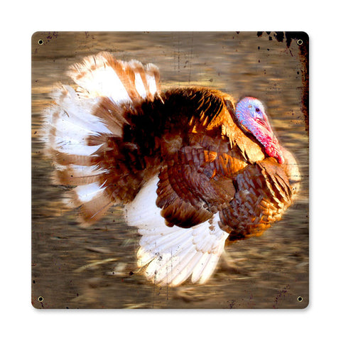 Running Turkey Metal Sign Wall Decor 12 x 12