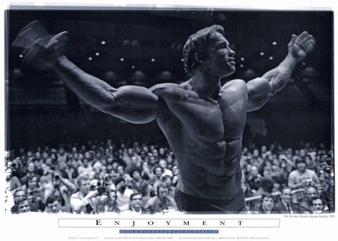 Pumping Iron 11 x 17 Movie Poster - Style E
