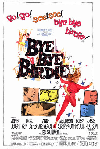 Bye Bye Birdie 27 x 40 Movie Poster - Style A