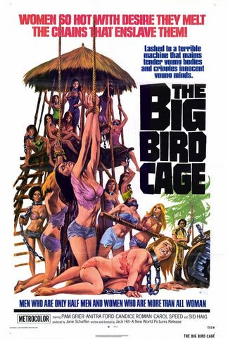 The Big Bird Cage 27 x 40 Movie Poster - Style A