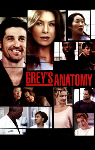 Grey's Anatomy 11 x 17 TV Poster - Style B