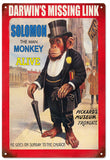 Darwins missing Link Monkey lives