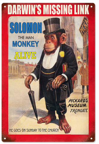 Darwins missing Link Monkey lives