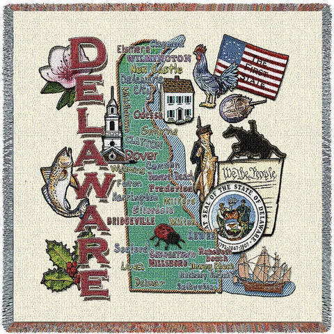Delaware State Small Blanket