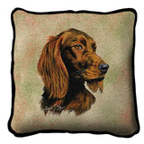 Irish Setter Pillow Cover