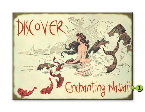 Discover Paradise Metal 23x31