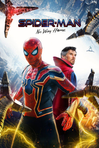 Spider-Man: No Way Home Style D Movie Poster 27 x 40 inch