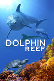 Dolphin Reef Style A Movie Poster 11 x 17 inch