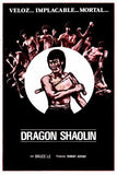 Dragon Shaolin Movie Poster Print