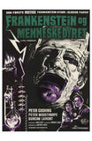 Evil of Frankenstein Movie Poster Print