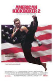 American Kickboxer 2 Movie Poster Print