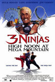 3 Ninjas: High Noon At Mega Mountain Movie Poster Print