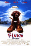 Fluke Movie Poster Print