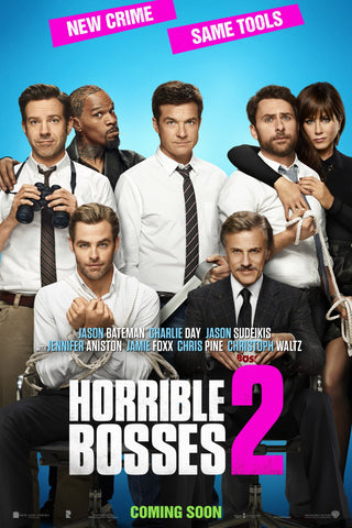 Horrible Bosses 2 Style C Movie Poster 27 x 40 inch