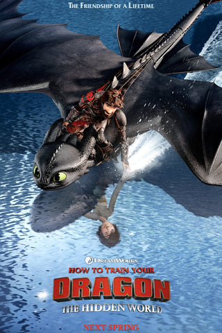 How to Train Your Dragon: The Hidden World Style E Movie Poster 11 x 17 inch