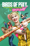 Birds of Prey (and the Fantabulous Emancipation of One Harley Quinn) Style E Movie Poster 11 x 17 inch