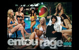 Entourage, style H Movie Poster Print