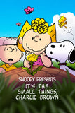Snoopy Presents: It's the Small Things, Charlie Brown Style B Movie Poster 11 x 17 inch