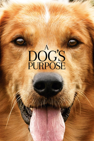 A Dog's Purpose Style A Movie Poster 27 x 40 inch