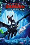 How to Train Your Dragon: The Hidden World Style C Movie Poster 27 x 40 inch