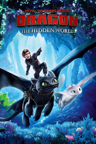 How to Train Your Dragon: The Hidden World Style C Movie Poster 27 x 40 inch