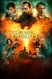 Fantastic Beasts: The Secrets of Dumbledore Style C Movie Poster 11 x 17 inch