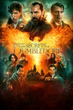 Fantastic Beasts: The Secrets of Dumbledore Style C Movie Poster 27 x 40 inch