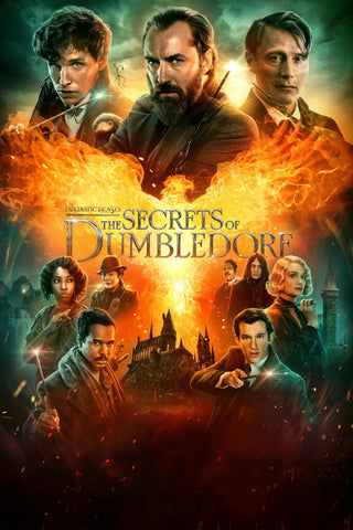Fantastic Beasts: The Secrets of Dumbledore Style C Movie Poster 27 x 40 inch