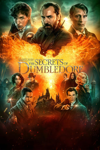 Fantastic Beasts: The Secrets of Dumbledore Style C Movie Poster 11 x 17 inch