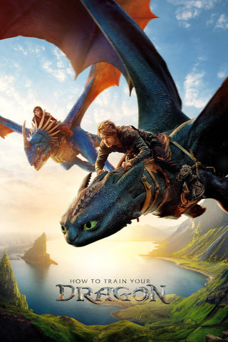 How to Train Your Dragon Style D Movie Poster 11 x 17 inch