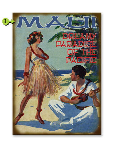 Dreamy Paradise Hula Metal 28x38