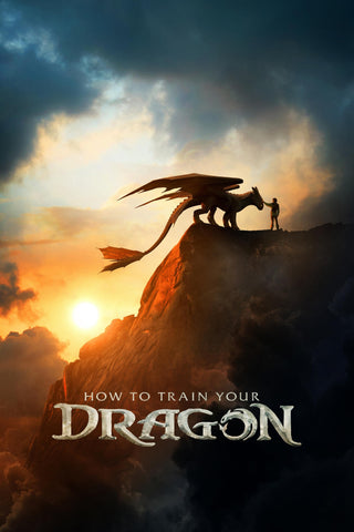 How to Train Your Dragon Style B Movie Poster 11 x 17 inch